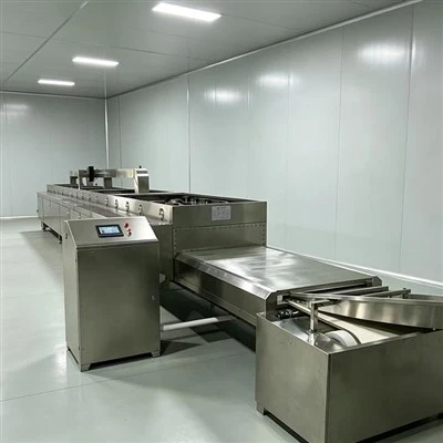 Industrial Belt Dryer
